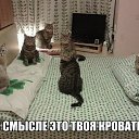 ���� W, �����-���������, 52 ���� - ��������� 20 ��� 2017 � ������ ���� ����������