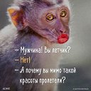 ���� ������ �����, �����������, 66 ��� - ��������� 5 ���� 2017 � ������ ������ ��������