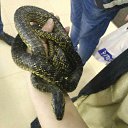 ���� �����, ��������, 48 ��� - ��������� 9 ������ 2017 � ������ ���� ����������