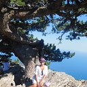 ���� �������, �����-��������� - ��������� 28 ������� 2017 � ������ ������2017�