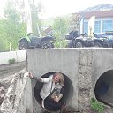  ,  -  20  2017    17