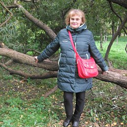 �������, �����-���������, 67 ���