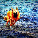 ���� Valentin, ��������, 43 ���� - ��������� 4 ��� 2017 � ������ �8al�