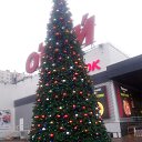 ���� Sadriddin, �����-���������, 39 ��� - ��������� 5 ������ 2017 � ������ ���� ����������