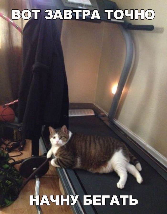    :D - 27  2017  18:33