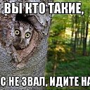 ���� Lik, ��������, 40 ��� - ��������� 31 ��� 2017 � ������ ���� ����������