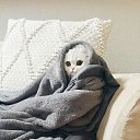 ���� �����, ���������, 56 ��� - ��������� 8 ������� 2017 � ������ ������ ��������