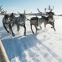 ���� ����� ���������, �����, 55 ��� - ��������� 31 ��� 2017 � ������ ������ ��������