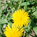 ���� ������, ������, 49 ��� - ��������� 3 ��� 2017 � ������ ������� Nikon�