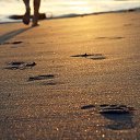 ���� �����, ���������, 56 ��� - ��������� 16 ���� 2017 � ������ ������ ��������