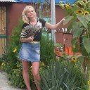 ���� ����������, ����, 45 ��� - ��������� 8 ������ 2017 � ������ ���� ����������