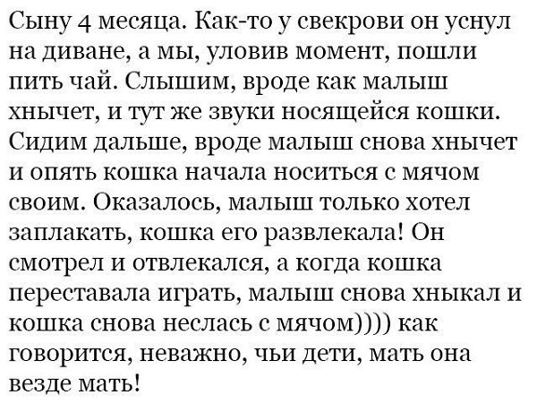   -   - 20  2017  19:08