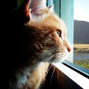 ���� Gh, ������ - ��������� 8 ������� 2017 � ������ ���� ����������