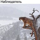���� Asn, ������ - ��������� 2 ������ 2017 � ������ ���� ����������