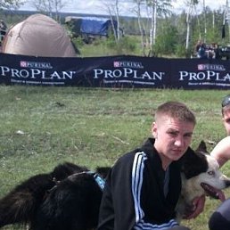 ����, 36 ���, ������