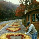 ���� �������, ����� - ��������� 15 ������� 2017 � ������ ������ ��������