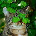 ���� �����, ��������� - ��������� 24 ��� 2017 � ������ ������ ��������