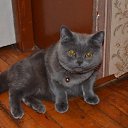 ���� ��������, �����-���������, 55 ��� - ��������� 29 ������� 2017