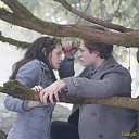 ���� �����, ����, 40 ��� - ��������� 15 ���� 2017 � ������ ���� ����������