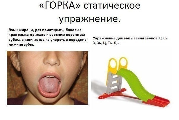     -    - 6