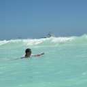 ���� ����, ��������� - ��������� 24 ������ 2017 � ������ ������ ��������