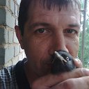 ���� ������, ����������, 54 ���� - ��������� 7 �������� 2017 � ������ ���� ����������