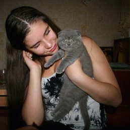 ����******, �������, 30 ���