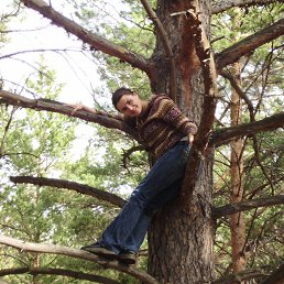 �������, �������, 45 ���