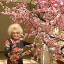 ���� �����, ������������ - ��������� 21 ��� 2017 � ������ �������.�