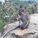 ���� �������, ���������, 46 ��� - ��������� 19 ������� 2017 � ������ ����������