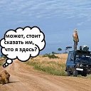  , -, 37  -  12  2017