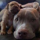 ���� ������, ������, 59 ��� - ��������� 14 ���� 2017 � ������ ���� ����������