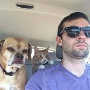 ���� �����, �����-��������� - ��������� 1 �������� 2017 � ������ ������ ��������