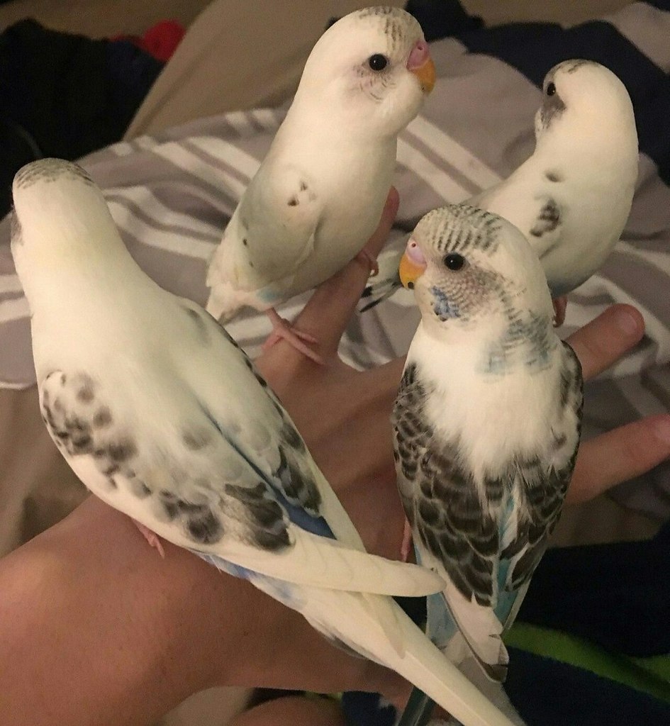 :3