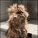 ���� ����, ������� - ��������� 27 ������� 2017 � ������ ������