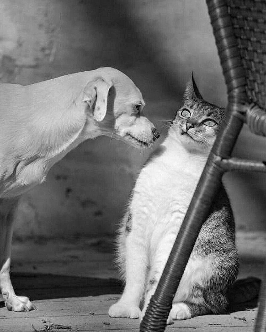 - ! ....  ,    ?.... -   , ....   ...