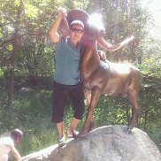 ������, 41 ���, ������