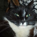 ���� ������, ������������, 47 ��� - ��������� 8 ������ 2017 � ������ ���� ����������