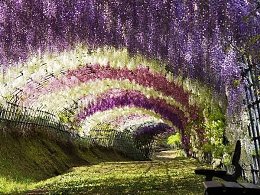 �.�����!!!������� ���� ��� ������ ������ �������!!!