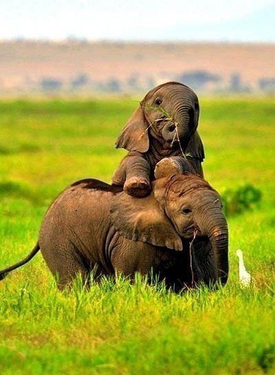 ��� � ��� � � ��������, � ���������� �����. �, � ���� ��������, �������� �� ���: �� � ��� � �� ����� ... - 2