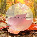 ���� ������, ����������� - ��������� 26 �������� 2017