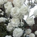 ���� ������, ������ - ��������� 22 ������� 2017 � ������ ���� �������!!!�