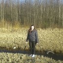 ���� ���������, �����-���������, 29 ��� - ��������� 1 ��� 2017 � ������ ���� ����������