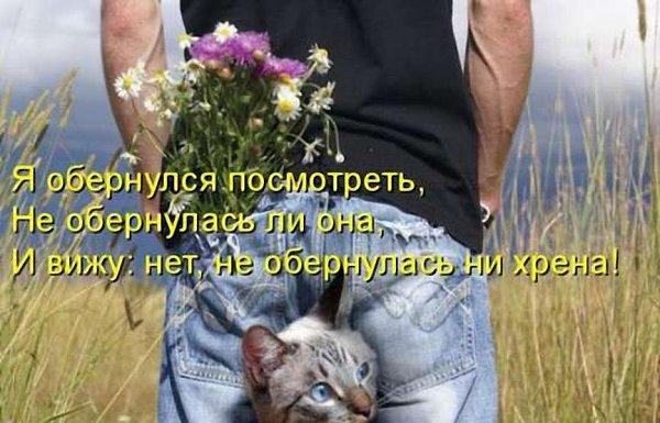   - 5  2017  10:13