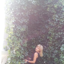 ���� ����, ������ - ��������� 22 ������� 2017