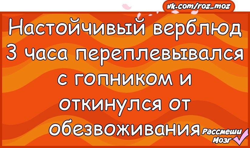  - 22  2017  13:58