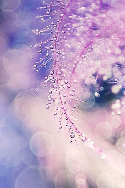 Beautiful from Dispersion - 16  2017  23:46