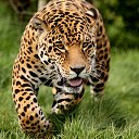 ���� ����, �������, 29 ��� - ��������� 23 ���� 2017 � ������ ������ ��������