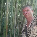 ���� ������, �����������, 54 ���� - ��������� 27 ������� 2017 � ������ ���� ����������