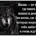 ���� ����, �����, 38 ��� - ��������� 26 ��� 2017 � ������ ���� ����������